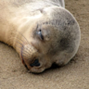 Meet your Posher, Keri